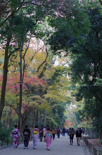 2013年糺の森の紅葉