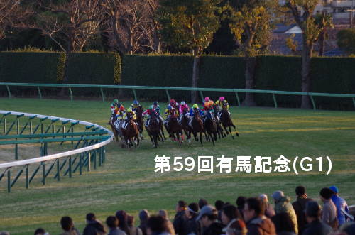 【競馬予想】第59回有馬記念(G1) 2014/12/28